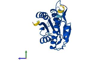 AlphaFold protein structure predicition of Mouse Recombinant Pgpep1 Protein, UniprotID Q9ESW8