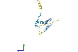 AlphaFold protein structure predicition of Human Recombinant FAM216B Protein, UniprotID Q8N7L0