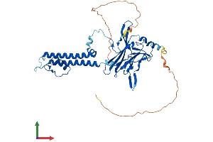 AlphaFold protein structure predicition of Mouse Recombinant Kcnj5 Protein, UniprotID P48545