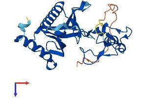 AlphaFold protein structure predicition of Human Recombinant PLEKHF2 Protein, UniprotID Q9H8W4