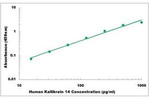 Representative Standard Curve (Kallikrein 14 Kit ELISA)