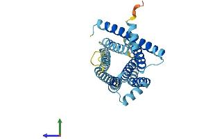 AlphaFold protein structure predicition of Mouse Recombinant Tas2r16 Protein, UniprotID P59529