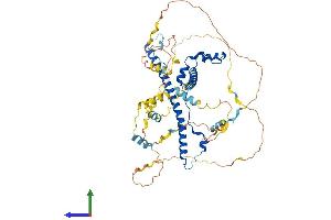 AlphaFold protein structure predicition of Human Recombinant WASF1 Protein, UniprotID Q92558
