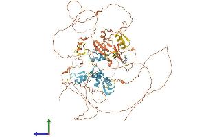 AlphaFold protein structure predicition of Human Recombinant PRDM4 Protein, UniprotID Q9UKN5