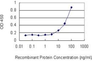 Detection limit for recombinant GST tagged CAT is 1 ng/ml as a capture antibody. (Catalase anticorps  (AA 1-100))