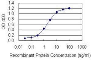 Detection limit for recombinant GST tagged BTF3L4 is 0.