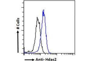 ABIN6391348 Flow cytometric analysis of paraformaldehyde fixed HeLa cells (blue line), permeabilized with 0. (HDAC2 anticorps  (Internal Region))