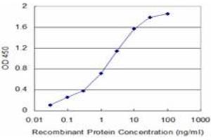 Detection limit for recombinant GST tagged USP9X is approximately 0. (USP9X anticorps  (AA 1-90))