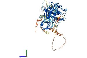 AlphaFold protein structure predicition of Human Recombinant STK39 Protein, UniprotID Q9UEW8