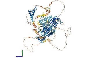AlphaFold protein structure predicition of Mouse Recombinant Recql4 Protein, UniprotID Q75NR7