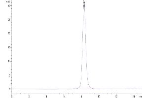 The purity of Cynomolgus IL-18 R1 is greater than 95 % as determined by SEC-HPLC.