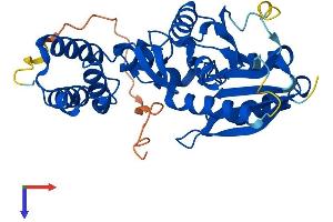 AlphaFold protein structure predicition of Human Recombinant HEMK1 Protein, UniprotID Q9Y5R4