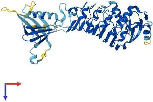AlphaFold protein structure predicition of Human Recombinant LRR1 Protein, UniprotID Q96L50