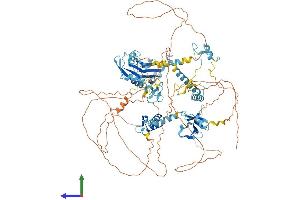 AlphaFold protein structure predicition of Mouse Recombinant Rbm10 Protein, UniprotID Q99KG3
