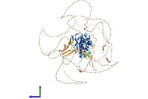 AlphaFold protein structure predicition of Human Recombinant KMT5B Protein, UniprotID Q4FZB7