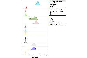 Flow cytometry multicolor surface staining pattern of human lymphocytes stained using anti-human CD3 (UCHT1) APC antibody (10 μL reagent / 100 μL of peripheral whole blood) and anti-human CD16 (LNK16) PE antibody (concentration in sample 9 μg/mL). (CD16 anticorps  (PE))