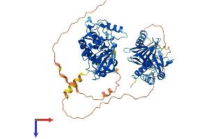 AlphaFold protein structure predicition of Human Recombinant PLK3 Protein, UniprotID Q9H4B4
