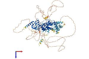 AlphaFold protein structure predicition of Human Recombinant GEN1 Protein, UniprotID Q17RS7