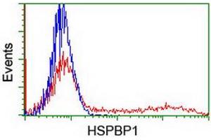 HEK293T cells transfected with either RC201814 overexpress plasmid (Red) or empty vector control plasmid (Blue) were immunostained by anti-HSPBP1 antibody (ABIN2454876), and then analyzed by flow cytometry. (HSPBP1 anticorps)