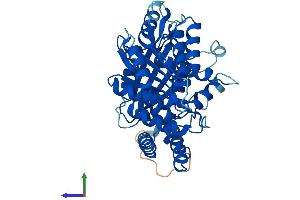 AlphaFold protein structure predicition of Mouse Recombinant Tubd1 Protein, UniprotID Q9R1K7
