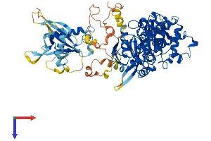 AlphaFold protein structure predicition of Mouse Recombinant Krit1 Protein, UniprotID Q6S5J6