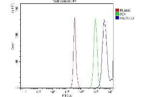 Flow Cytometry analysis of HepG2 cells using anti-HSD17B3 antibody (ABIN7603060).