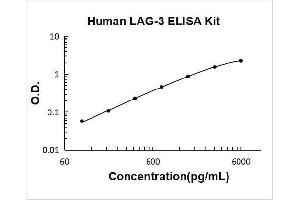 Lymphocyte-Activation Gene 3 (LAG3) ELISA Kit