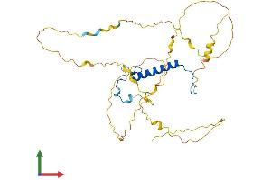 AlphaFold protein structure predicition of Mouse Recombinant Cdkn1c Protein, UniprotID P49919
