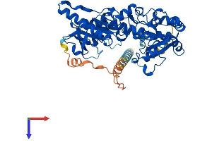 AlphaFold protein structure predicition of Mouse Recombinant Fut10 Protein, UniprotID Q5F2L2