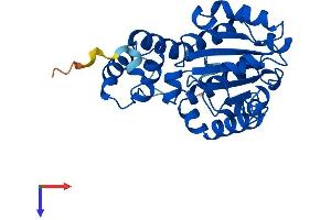 AlphaFold protein structure predicition of Mouse Recombinant Ttpa Protein, UniprotID Q8BWP5