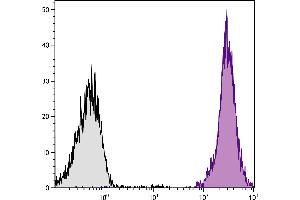 BALB/c mouse splenocytes were stained with Rat Anti-Mouse CD45-SPRD.