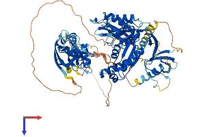 AlphaFold protein structure predicition of Mouse Recombinant Dlg4 Protein, UniprotID Q62108