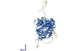 AlphaFold protein structure predicition of Mouse Recombinant Dis3l2 Protein, UniprotID Q8CI75
