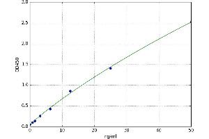 BCL2-Antagonist/killer 1 (BAK1) ELISA Kit
