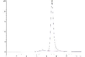 The purity of Human Siglec-3/CD33 is greater than 95 % as determined by SEC-HPLC.