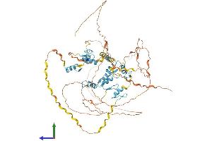 AlphaFold protein structure predicition of Human Recombinant ZNF219 Protein, UniprotID Q9P2Y4