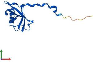 AlphaFold protein structure predicition of Mouse Recombinant Elob Protein, UniprotID P62869