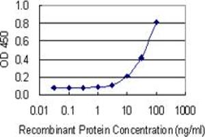 Detection limit for recombinant GST tagged SHBG is 1 ng/ml as a capture antibody.