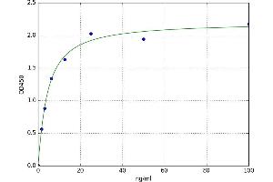 A typical standard curve (Fascin 2 Kit ELISA)