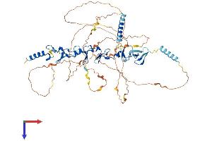 AlphaFold protein structure predicition of Human Recombinant LPP Protein, UniprotID Q93052