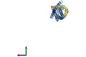 AlphaFold protein structure predicition of Human Recombinant STX1B Protein, UniprotID P61266