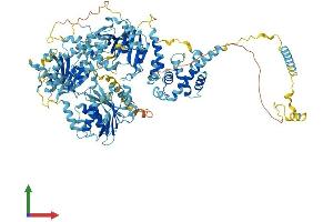 AlphaFold protein structure predicition of Human Recombinant NAT10 Protein, UniprotID Q9H0A0