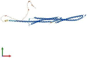 AlphaFold protein structure predicition of Human Recombinant TEKT5 Protein, UniprotID Q96M29