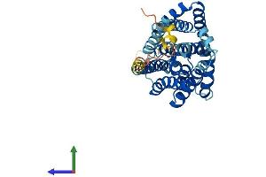 AlphaFold protein structure predicition of Mouse Recombinant Slc10a2 Protein, UniprotID P70172