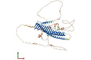 AlphaFold protein structure predicition of Human Recombinant JPH2 Protein, UniprotID Q9BR39
