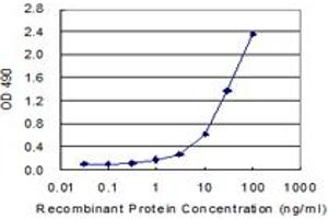 Sandwich ELISA detection sensitivity ranging from 1 ng/mL to 100 ng/mL. (CALD1 (Humain) Matched Antibody Pair)