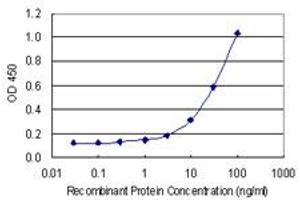 Detection limit for recombinant GST tagged HTRA3 is 1 ng/ml as a capture antibody. (HTRA3 anticorps  (AA 344-453))
