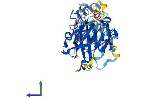 AlphaFold protein structure predicition of Mouse Recombinant Pdcd2 Protein, UniprotID P46718