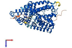 AlphaFold protein structure predicition of Mouse Recombinant Mboat1 Protein, UniprotID Q8BH98