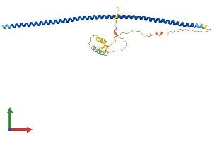 AlphaFold protein structure predicition of Mouse Recombinant Krt222 Protein, UniprotID Q8CCX5
